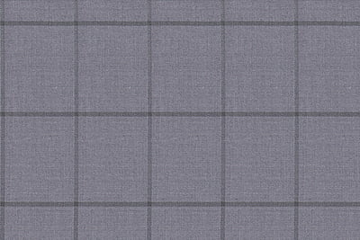 G1-22964 LIGHT GRAY WINDOWPANE
