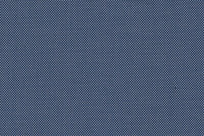 J 2199047 LIGHT BLUE BIRDSEYE