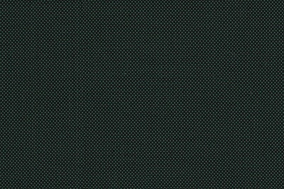 J 2199050 GREEN BIRDSEYE