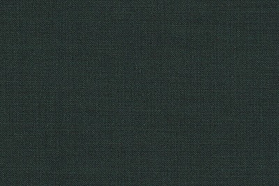 J 2199072 GREEN SHARKSKIN