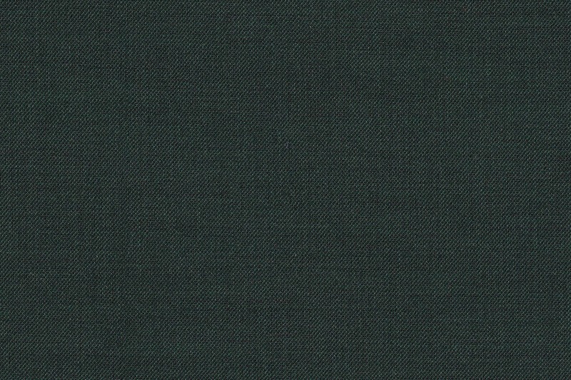 J 2199072 GREEN SHARKSKIN J 2199072 GREEN SHARKSKIN
